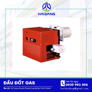 Đầu đốt gas-G10-30
